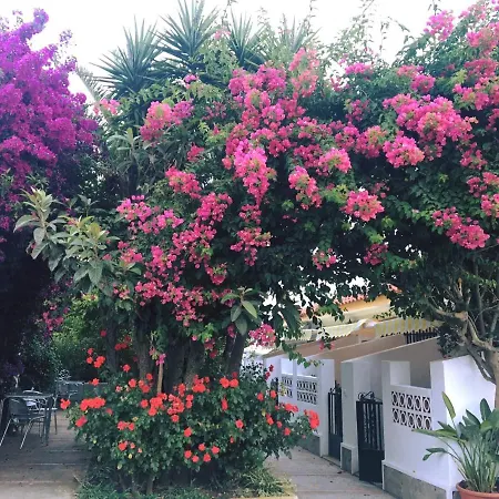 Hotel Antonio Conil-2