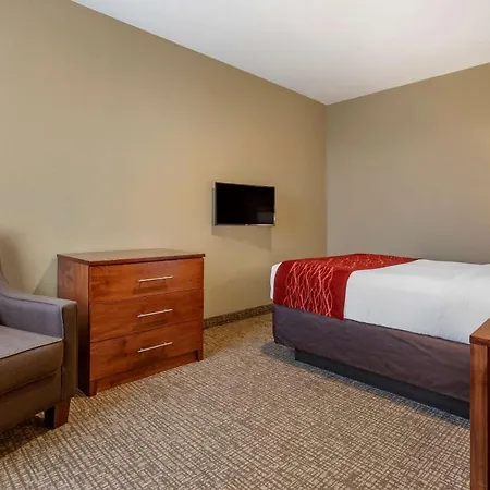 Comfort Inn & Suites Near Mt Rushmore-3
