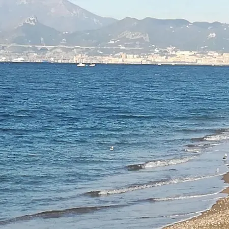Hotel Calypso-2