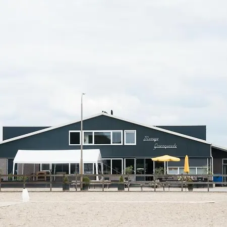 B&B Manege Groenewoude-3