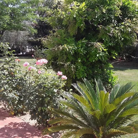 Villa Fabbri-2