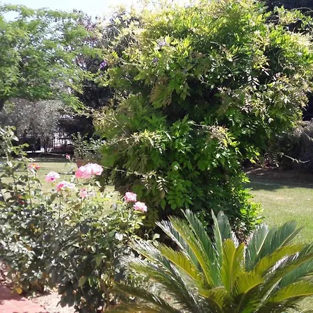 Villa Fabbri-3