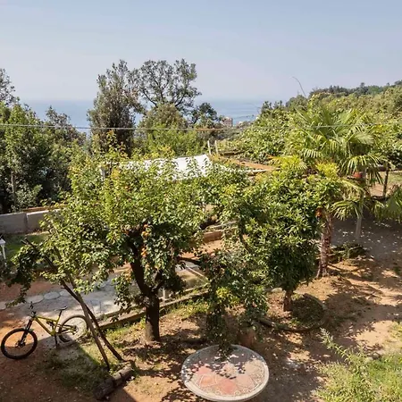 La BRIGNA B&B Il bosco sul mare-2