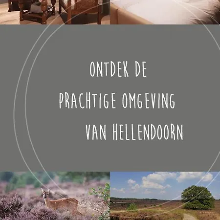 Bed&Breakfast Hellendoorn-2