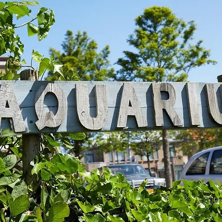 Guest House Aquarius-2