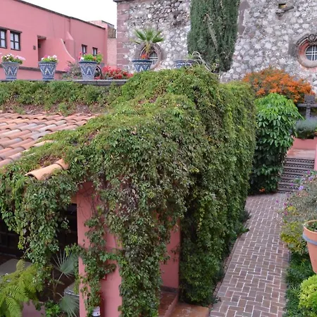 Hotel Casa Rosada - Adults Only-2