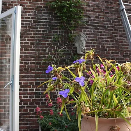 Bed & Breakfast Leonie-2