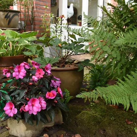 Bed & Breakfast Leonie-3