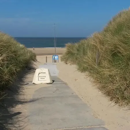 Vitamin Sea-2