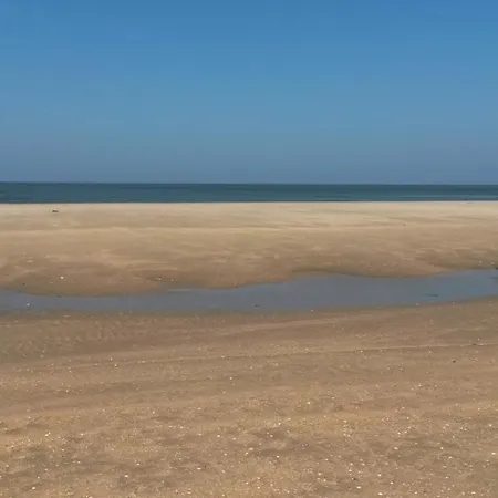 Vitamin Sea-3