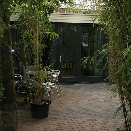 B&B Behind The Tree-3
