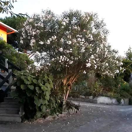 Casa Gwendoline - Albergue / Hostel / Al - Caminho Da Costa-3