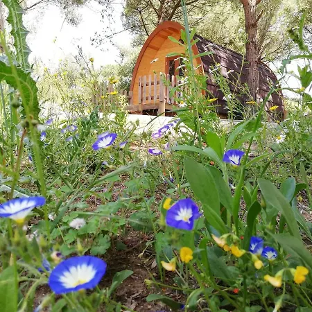Glamping Sintra-2