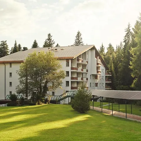 Chalet Belmont By Waldhaus Flims-2