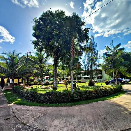 Hotel Jardim Tropical-3