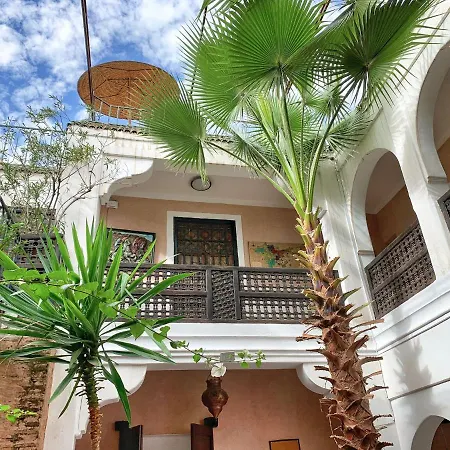 Riad Rockech-3