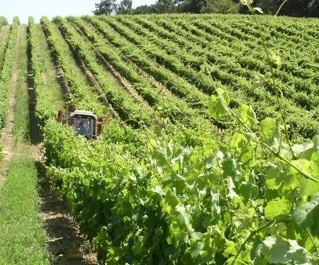 Quinta De Catralvos-3