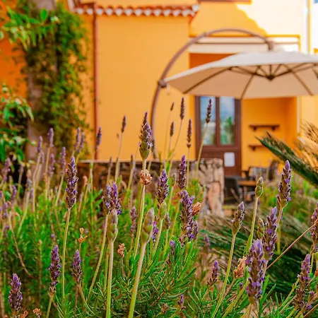 Hotel El Tejar&Spa-3