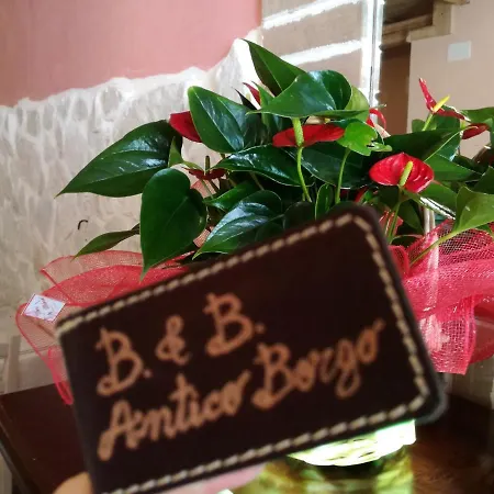 Antico Borgo-2