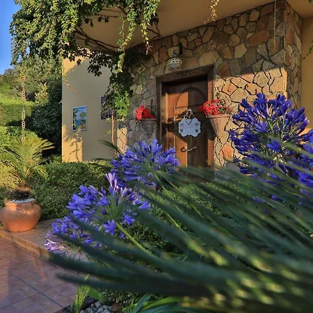 Villa Degli Ulivi-2