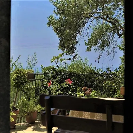B&B dei Fiori-3