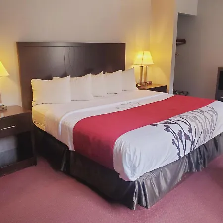 Blackstone Lodge And Suites-3