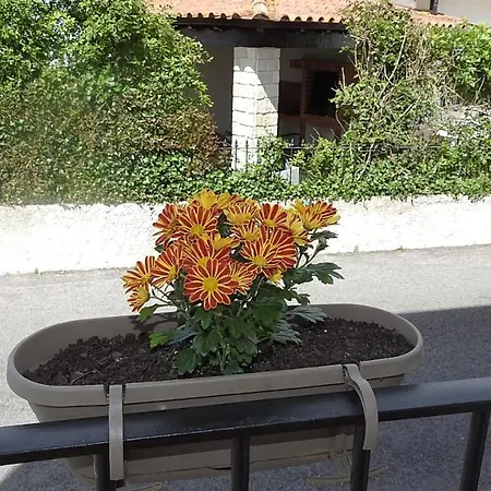 Hospedaria Do Senhor Da Pedra-3