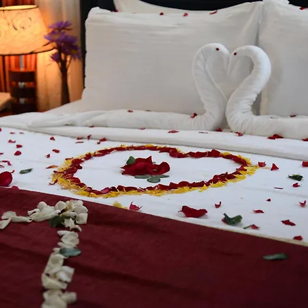 Lazaani Hotel Colombo-3