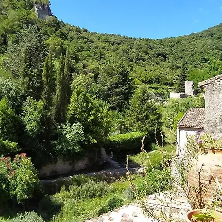 Au bord du verdus-3