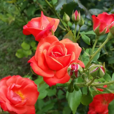 Hotel Panoramic Montepulciano-3