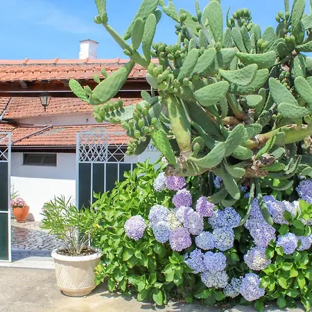 Quinta De Vale Escuro-2