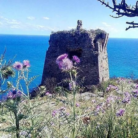 AlmaRé-3