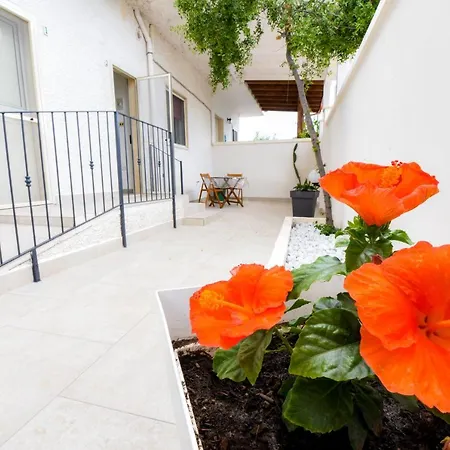 B&B Macchia Mediterranea-2