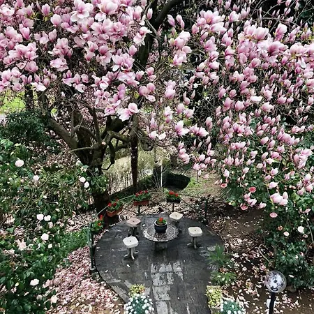 Villa Monica-3