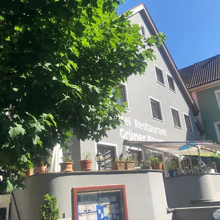Hotel Restaurant Grüner Baum und Altes Tor-3