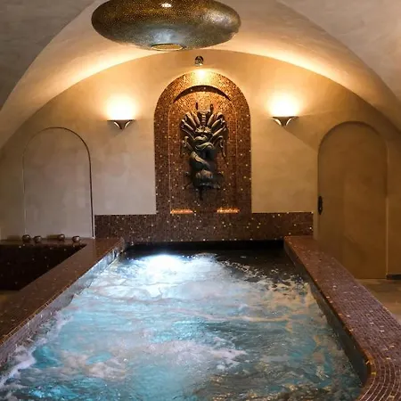 Hôtel Restaurant Spa Le Sauvage-2