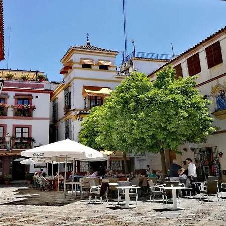 Casual Don Juan Tenorio Sevilla-2