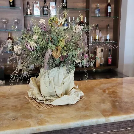 Hotel Amelia-2