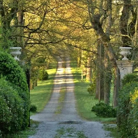 Domaine De La Vivarie-2