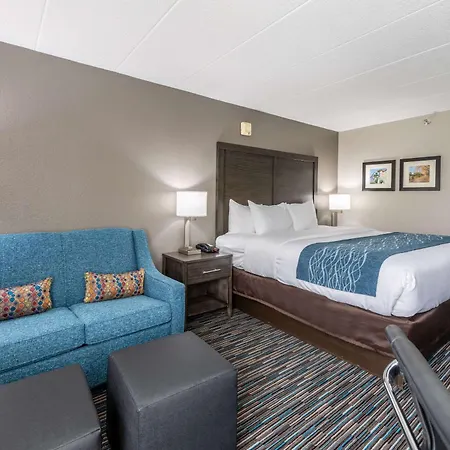 Comfort Inn Chicago Schaumburg - O'Hare Airport-3