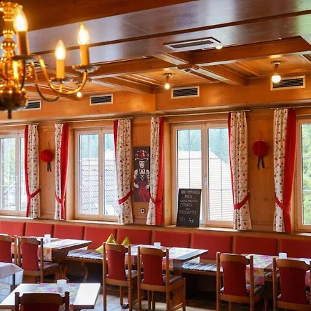 Hotel Hirschen-2