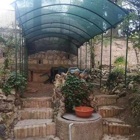 Hortensia Garden-2