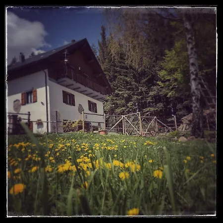 B&B Alle Betulle-2