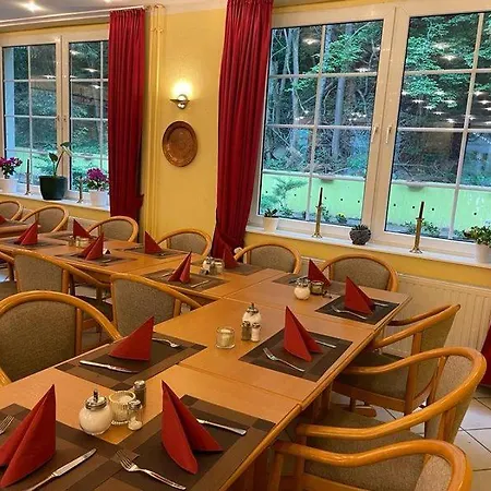 Waldhotel Harz Ilsenburg-3