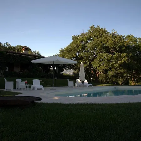 The Forest House-2