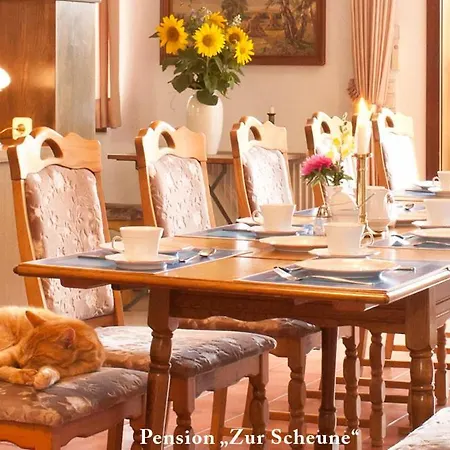 Pension zur Scheune-3