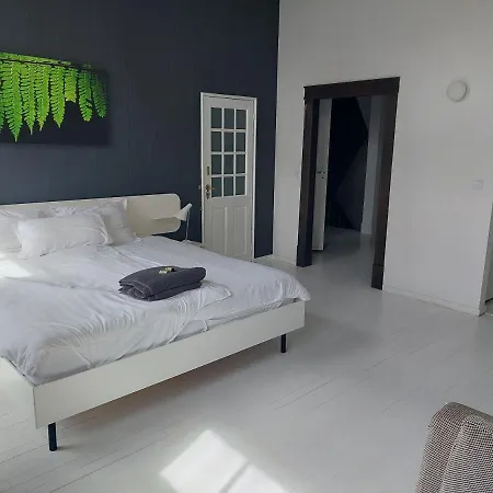 Bed & Breakfast In Monumental House Maastricht Centre-3