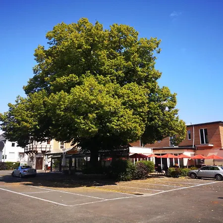 Hotel Zur Mühle-3
