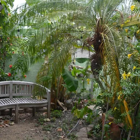 Palmetto Guesthouse-2