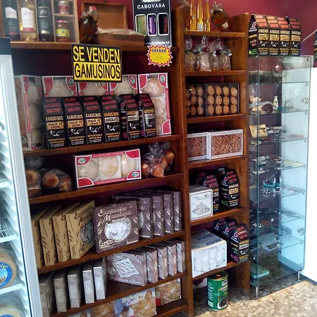 Nuevo Hotel Vista Alegre-3